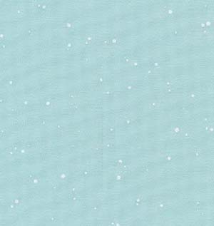 Mint Splash - Stern  14 Ct. Aida 